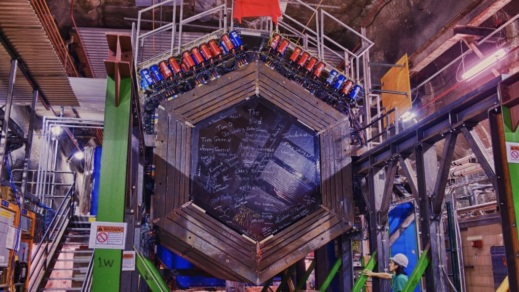 Minerva detector